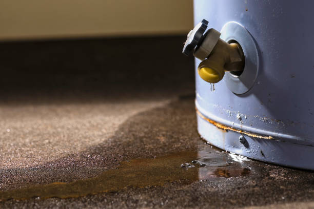 Best Flooded house restoration  in Divernon, IL
