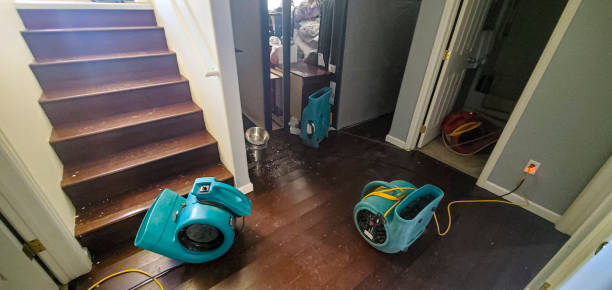 Best Water damage restoration near me  in Divernon, IL